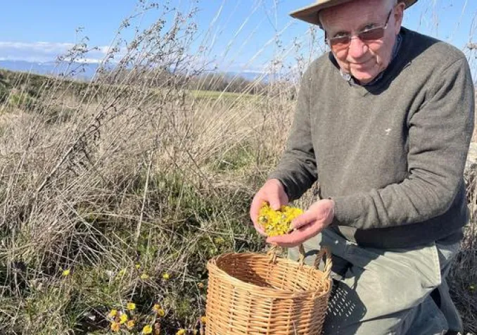 Le biologiste et herboriste Christophe Perret-Gentil copyright : Gabrielle Desarzens, RTSreligion