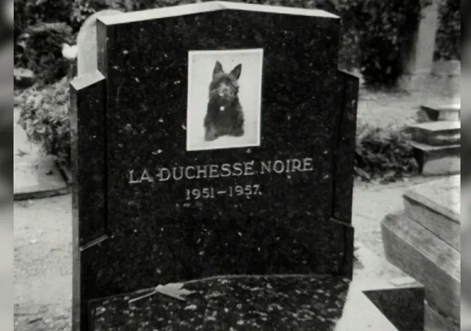 Sur la tombe de Médor ©Archives RTS