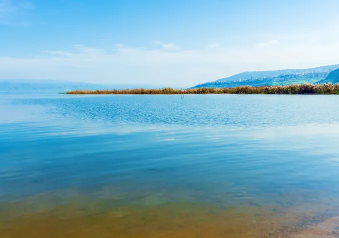 ©iStock/Rostislavv