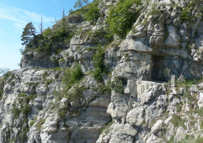 Chemin étroit