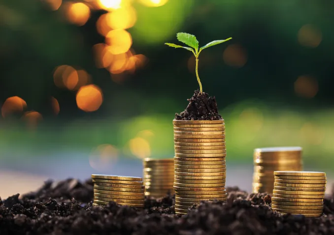 Photo iStock, Aekkasit Rakrodjit