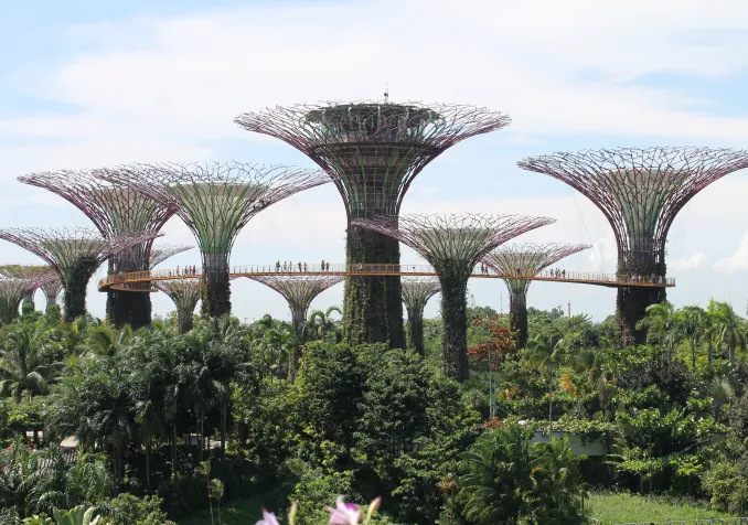 Singapour entre artificialité et idéalisation de la nature. Photo Gilles Bourquin