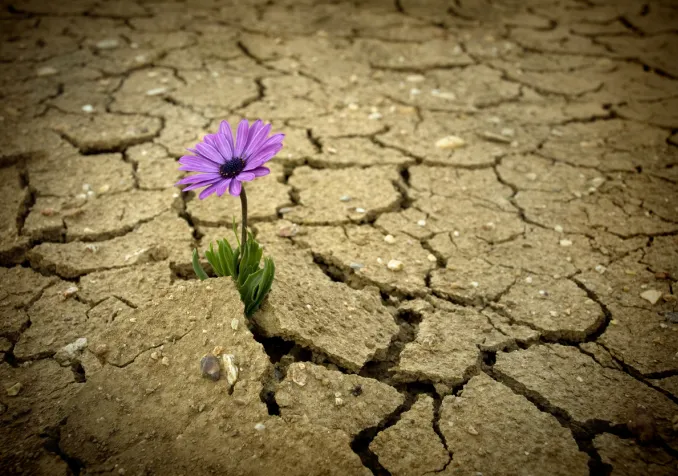 ©iStock