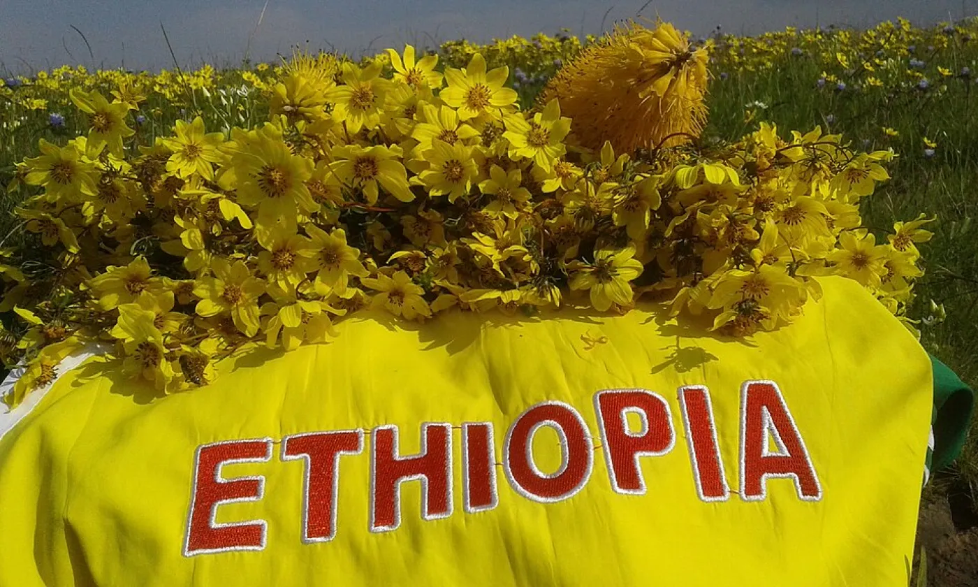 ©Tewodros Kassa, CC BY-SA 4.0 Wikimedia Commons