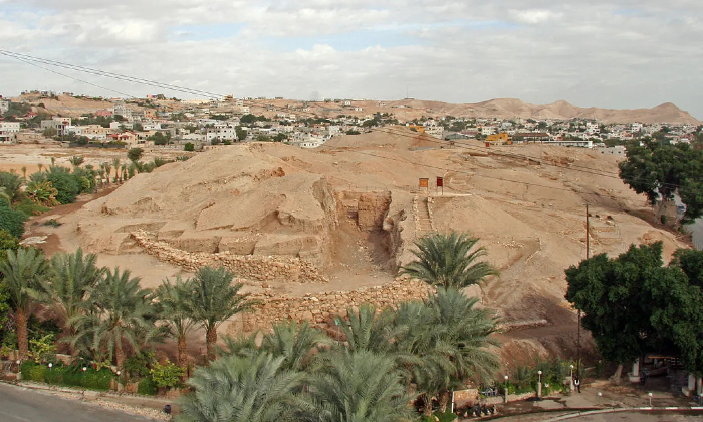 ©Tamar Hayardeni (Tamarah), CC BY 3.0 Wikimedia Commons