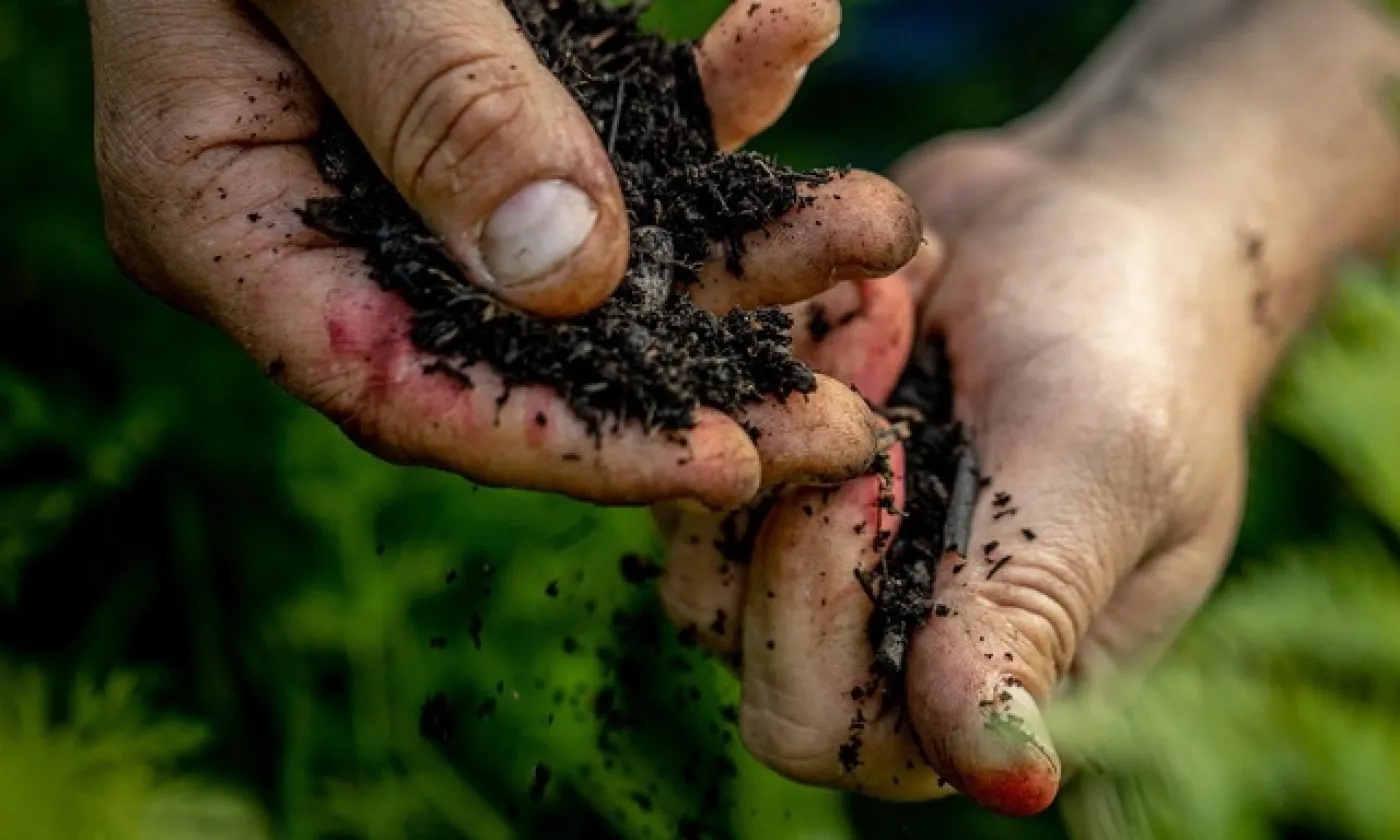 Les micro-fermes, petites structures proposant une agriculture durable, sociale et moins polluante, se développent en Suisse. AFP - Julie Limont/Hans Lucas
