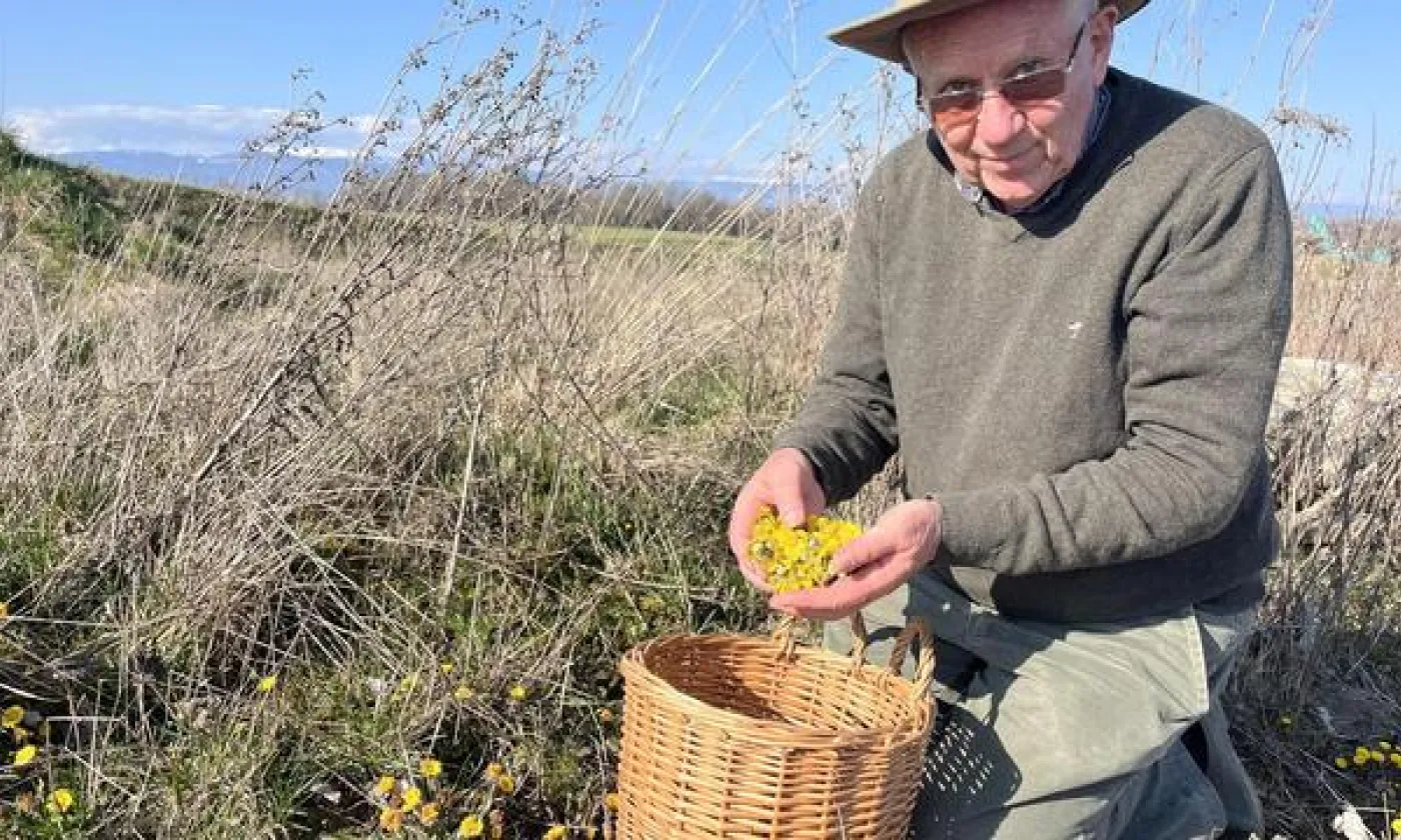 Le biologiste et herboriste Christophe Perret-Gentil copyright : Gabrielle Desarzens, RTSreligion