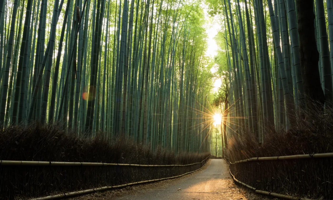 © Istock