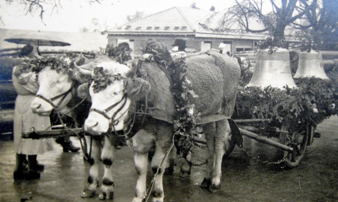 ©Collection des Biviades