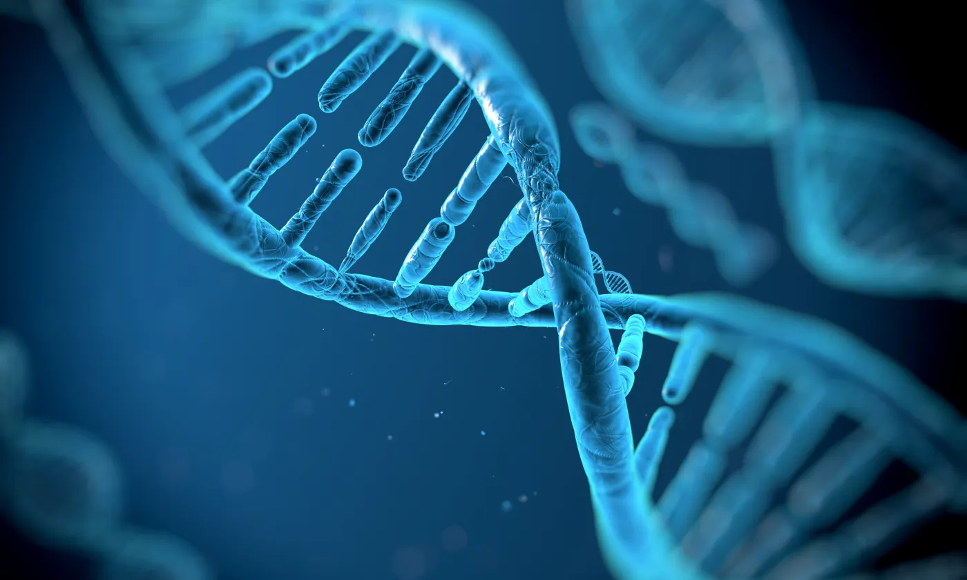 Une molécule d'ADN.