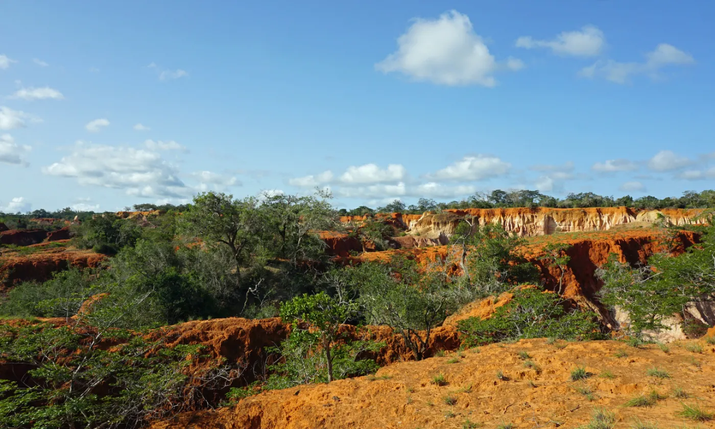 Région de Malindi, au sud-est du Kenya, où se trouve le village de Shakahola, où ont été retrouvées les victimes de la secte. ©iStock