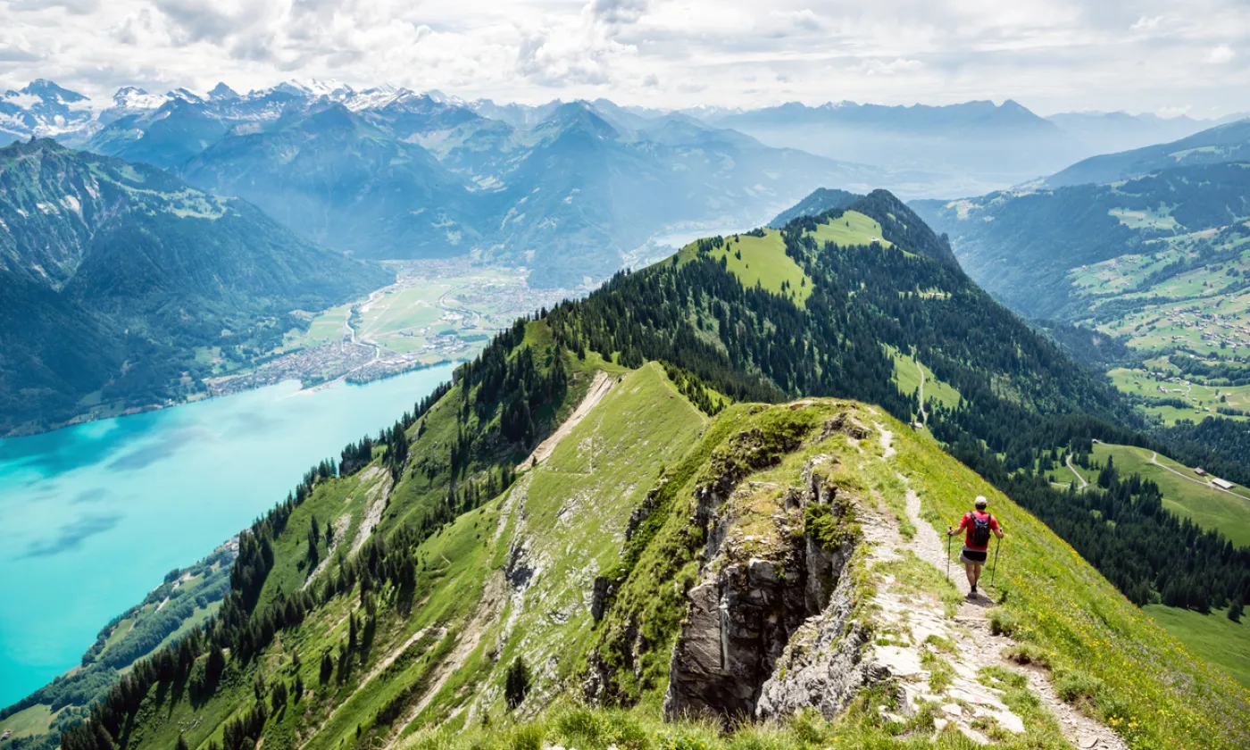 ©iStock/Markus Thoenen