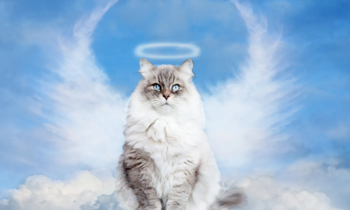 © iStock
