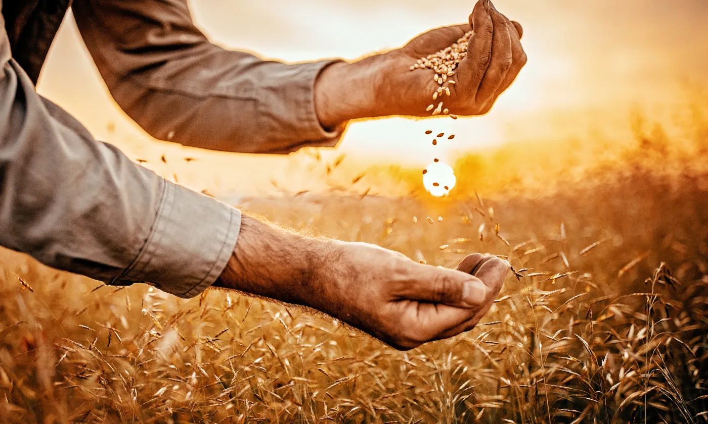 IStock