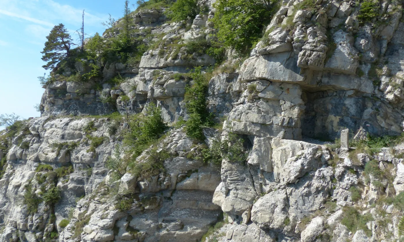 Chemin étroit