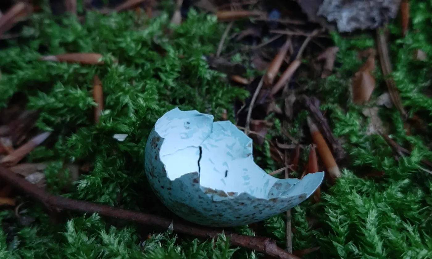 Fragile